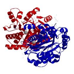 Image of CATH 4lca