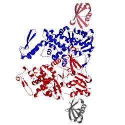 Image of CATH 4lcd