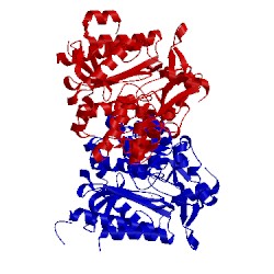 Image of CATH 4lcl