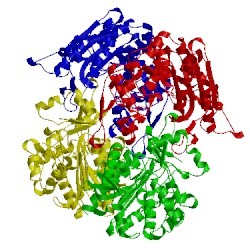 Image of CATH 4lcm