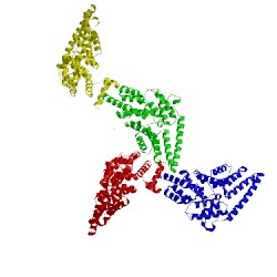 Image of CATH 4lct