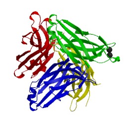 Image of CATH 4lcv