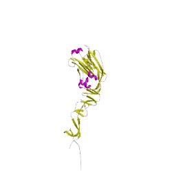 Image of CATH 4lcxA