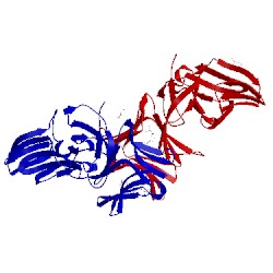 Image of CATH 4lea