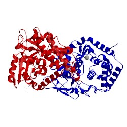 Image of CATH 4lev