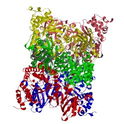 Image of CATH 4lf1