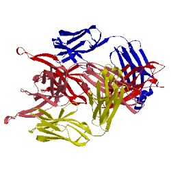 Image of CATH 4lf3