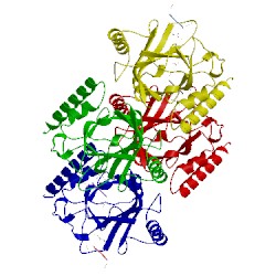 Image of CATH 4lfd