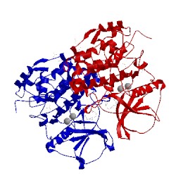 Image of CATH 4lfi