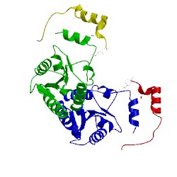 Image of CATH 4lfl