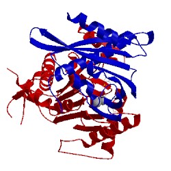Image of CATH 4lga