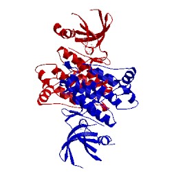 Image of CATH 4lgg