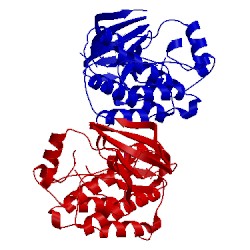 Image of CATH 4lgh