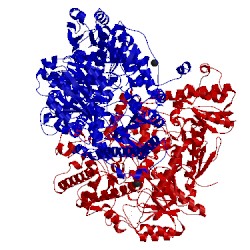 Image of CATH 4lgl