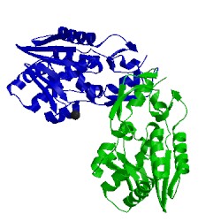 Image of CATH 4lgp