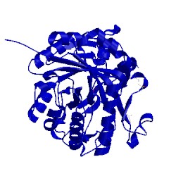 Image of CATH 4lgx