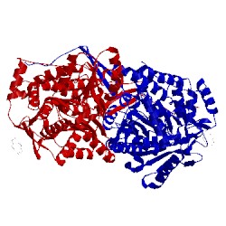 Image of CATH 4lh2