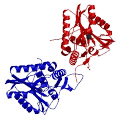 Image of CATH 4lhe