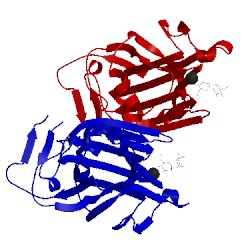 Image of CATH 4lhk