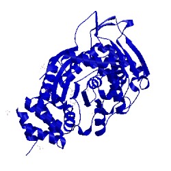 Image of CATH 4lhm