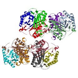 Image of CATH 4lhp