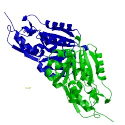 Image of CATH 4lhq