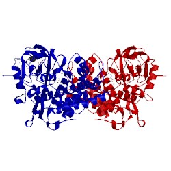 Image of CATH 4lht