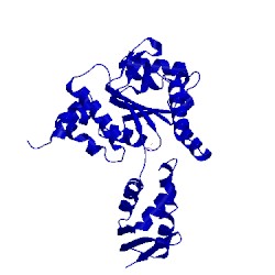 Image of CATH 4lj4