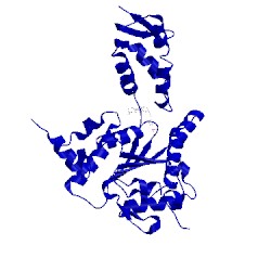 Image of CATH 4lj5