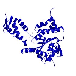 Image of CATH 4lj8