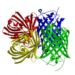 Image of CATH 4ljc