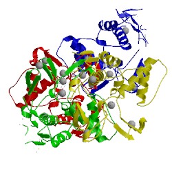 Image of CATH 4ljq