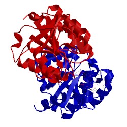 Image of CATH 4ljr