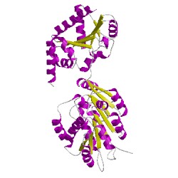 Image of CATH 4lk2A