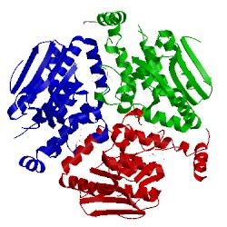Image of CATH 4lk5