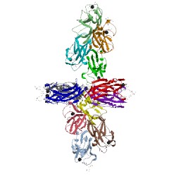 Image of CATH 4lk6