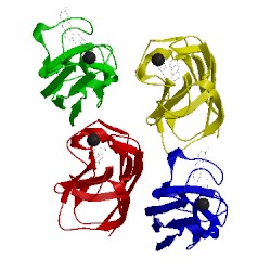 Image of CATH 4lk7