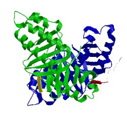 Image of CATH 4lkm