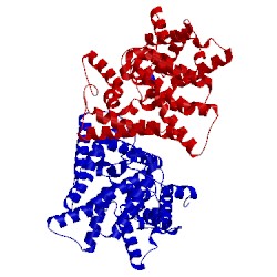 Image of CATH 4lkq