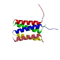 Image of CATH 4lku