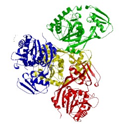 Image of CATH 4lkv