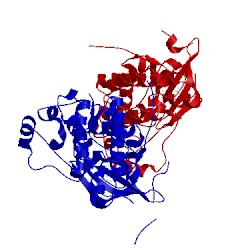 Image of CATH 4ll0