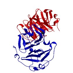Image of CATH 4ll2