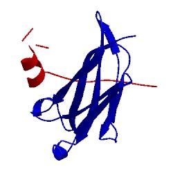 Image of CATH 4llm