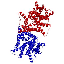 Image of CATH 4lm1