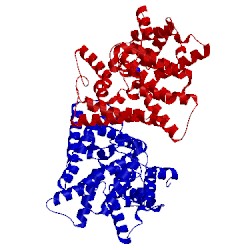 Image of CATH 4lm4