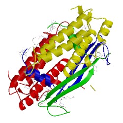 Image of CATH 4lm6