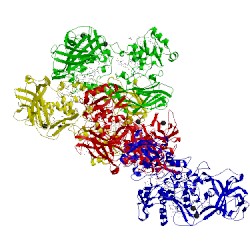 Image of CATH 4lmh