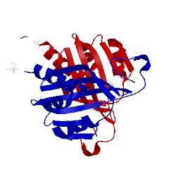 Image of CATH 4lmi