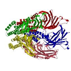 Image of CATH 4lmj